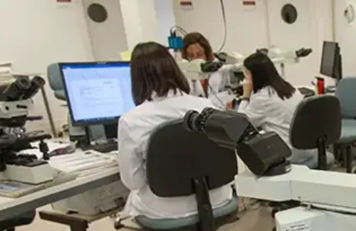 Asesoramiento al paciente. Anatomía Patológica. Imagen de asesoramiento al paciente. Anatomía patológica. Clínica Universidad de Navarra.